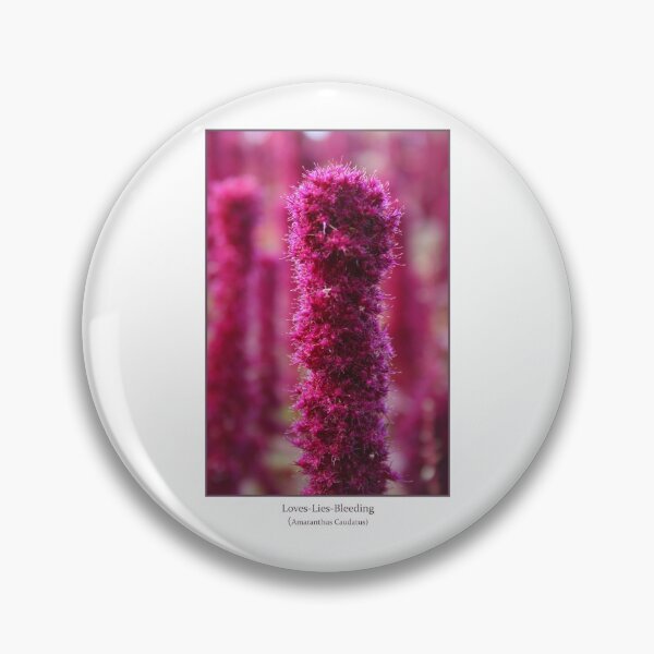Item preview, Amaranthus Caudatus designed and sold by Nicholas Averre.