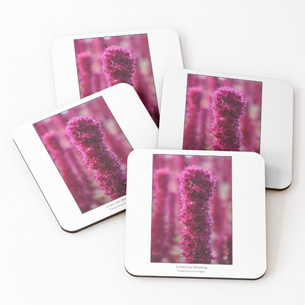 Item preview, Amaranthus Caudatus designed and sold by Nicholas Averre.