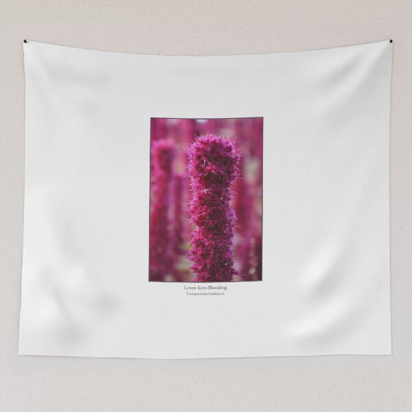 Item preview, Amaranthus Caudatus designed and sold by Nicholas Averre.