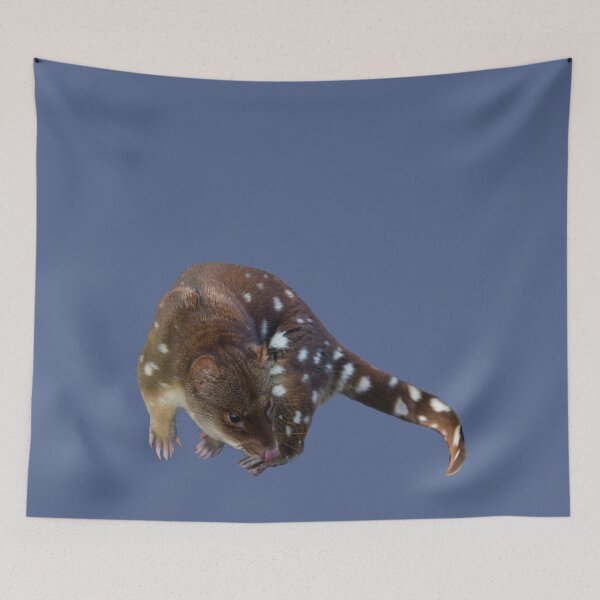 Item preview, Quoll! designed and sold by Jane McDougall.