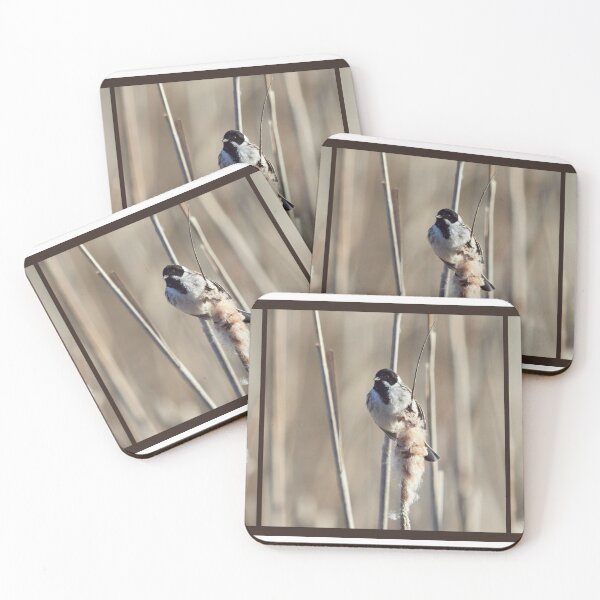 Item preview, Reed Bunting triptych designed and sold by Jouko Lehto Photography.