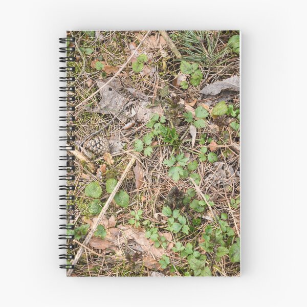 Item preview, Spring Carpet designed and sold by denis-romanov.