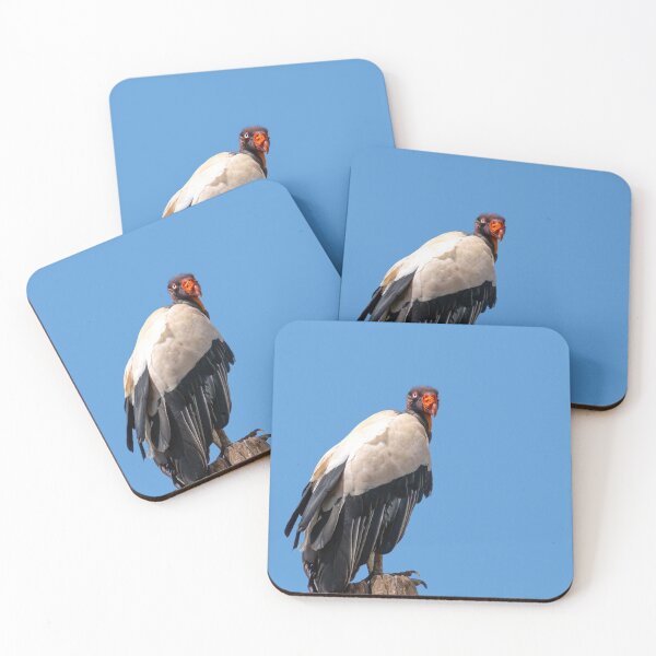 Item preview, King Vulture Perched on a Branch designed and sold by MarkUK97.