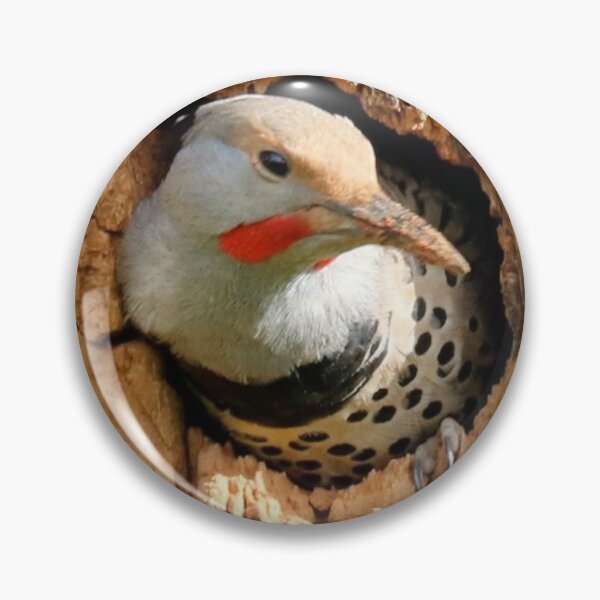 Item preview, Northern Flicker in Tree designed and sold by Penwortham.