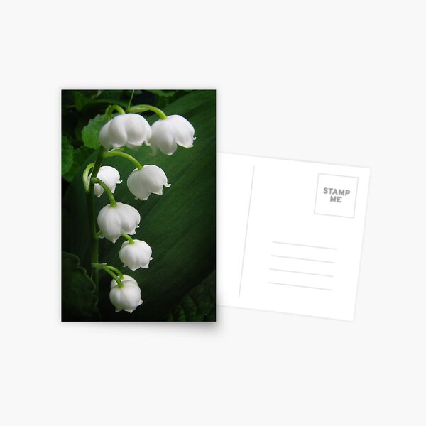 Item preview, The Sound of Flowers - Lily of the Valley designed and sold by Karen Casey-Smith.