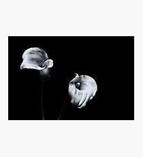 Sweet Serenity... II Photographic Print