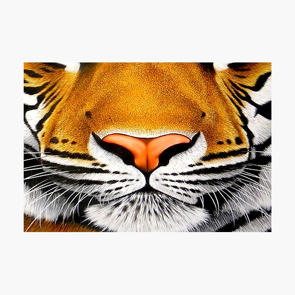tiger face | 3D tiger Photographic Print