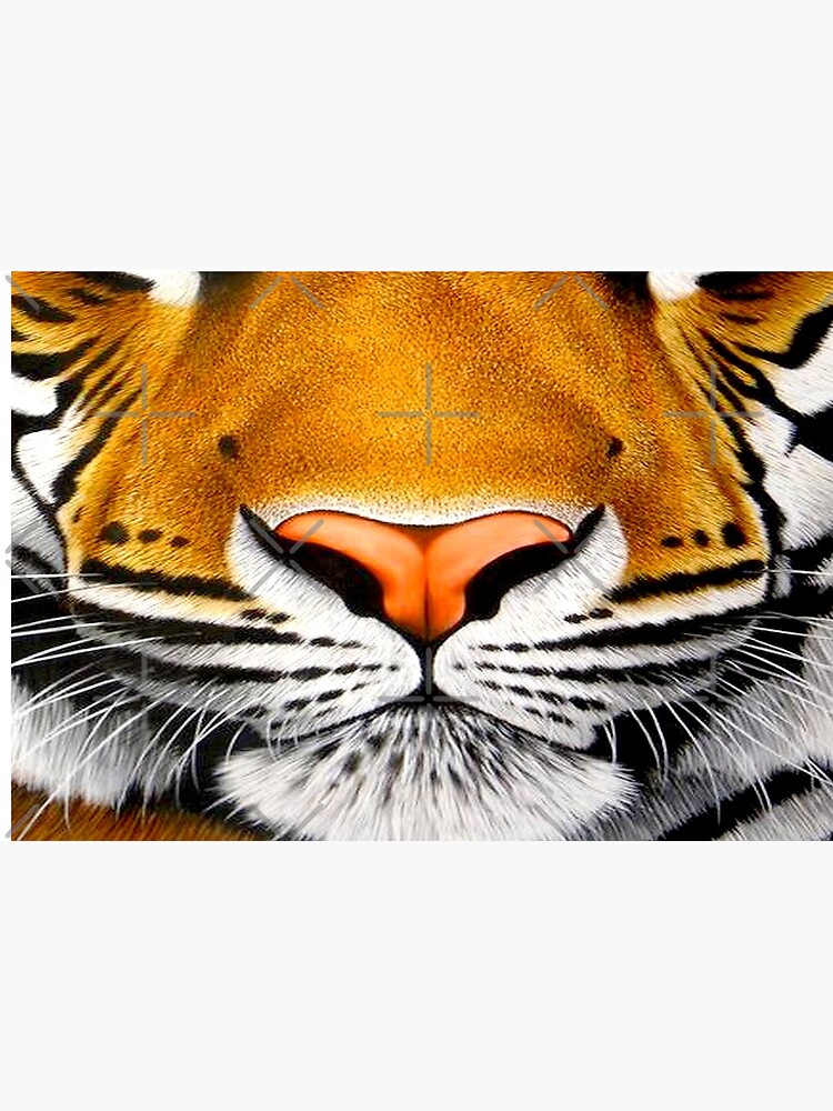 tiger face | 3D tiger by alpachino35