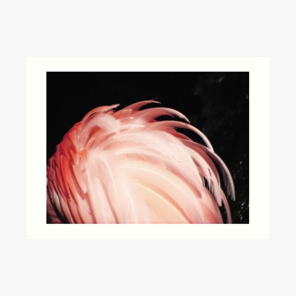 Flamingo Song Gifts Merchandise Redbubble - roblox music id for flamingo kero kero bonito