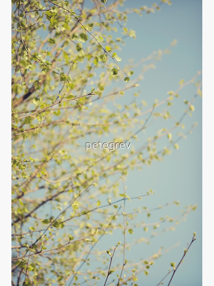 Day 289 - 24th April 2012 by petegrev