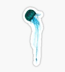 Pegatina blue jelly fish