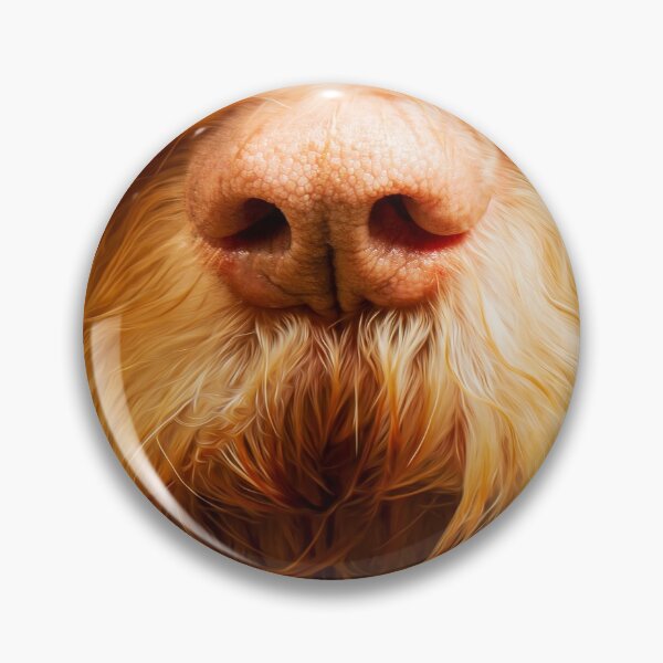 Soft Spinone Nose Pin