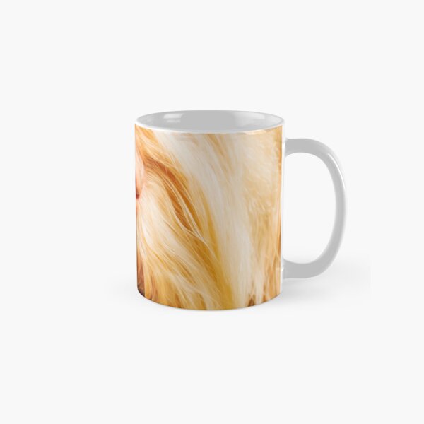 Soft Spinone Nose Classic Mug