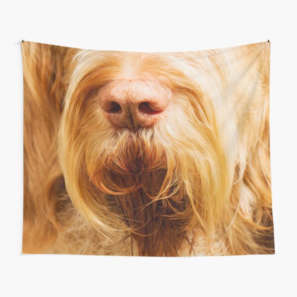 Soft Spinone Nose Tapestry