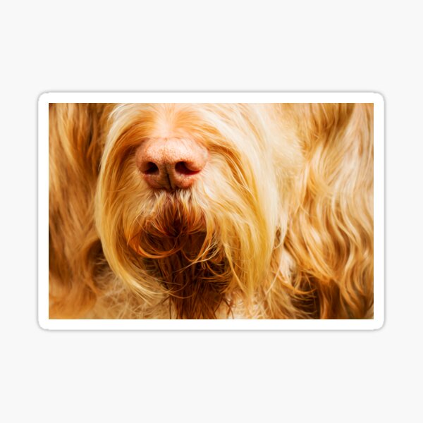 Soft Spinone Nose Sticker