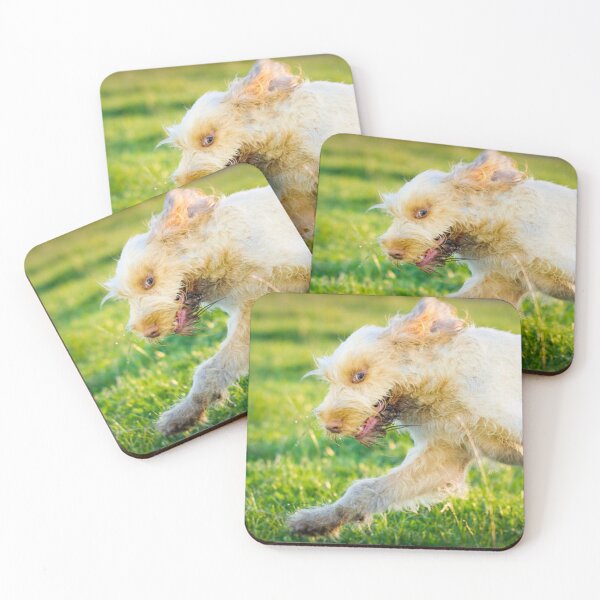Item preview, Chase me Spinone designed and sold by FOLK ART FUSION by heidiannemorris.