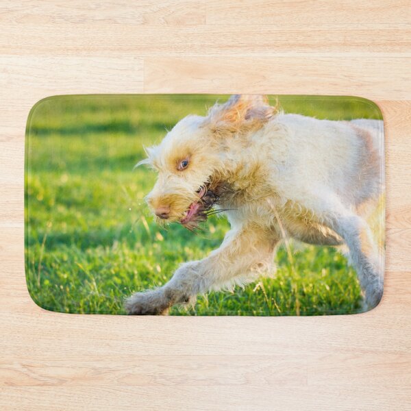 Item preview, Chase me Spinone designed and sold by FOLK ART FUSION.