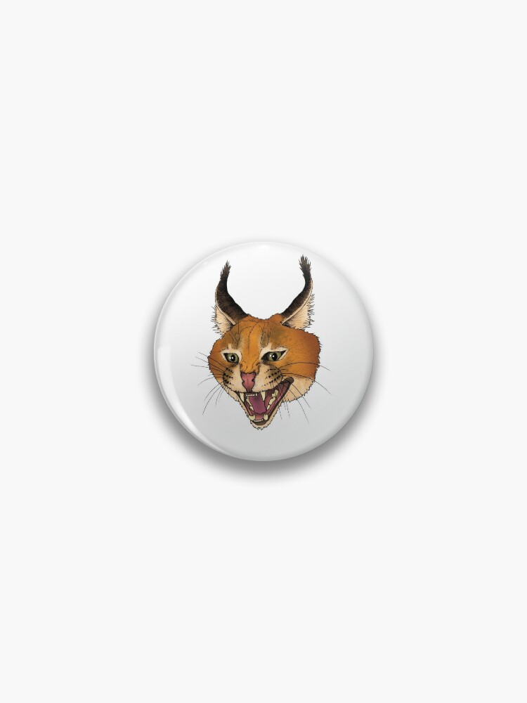 Pin on CARACAL