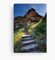 Stone Climb Canvas Print