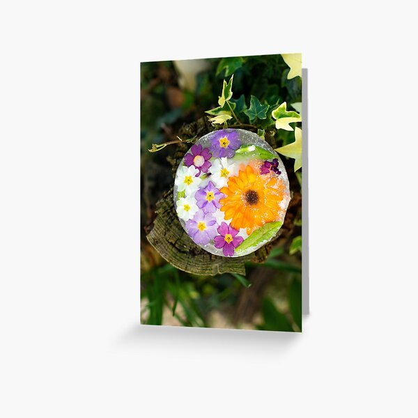 Fleurs de Printemps Givrées 6 Carte de vœux