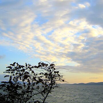Artwork thumbnail, Just After Sunset by TatianaMichaela