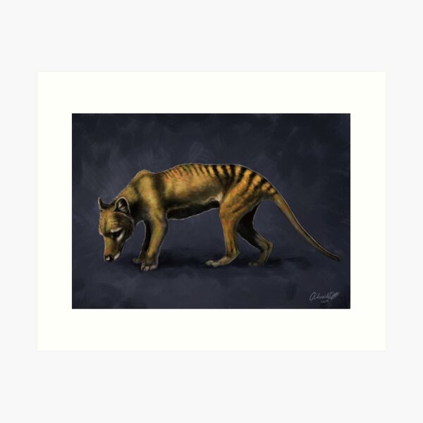 Thylacine Art Print