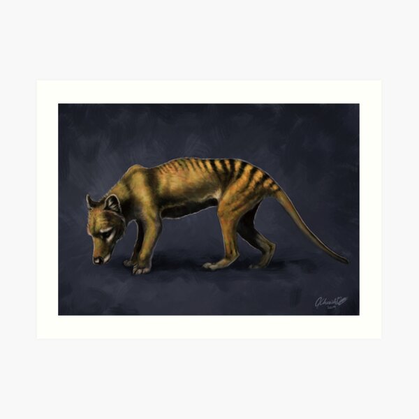 Thylacine Art Print