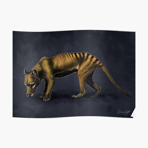 Thylacine Poster