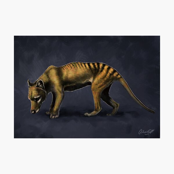 Item preview, Thylacine designed and sold by cherishart.