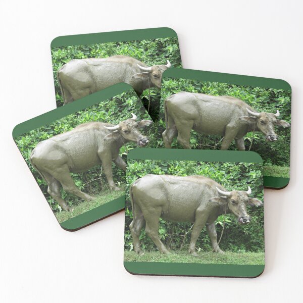 Item preview, Muddy Carabao designed and sold by Linda Walsh.