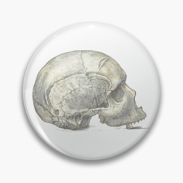 Item preview, Skull 4 designed and sold by upopot.