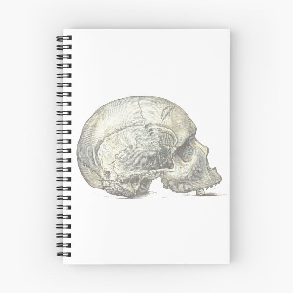 Item preview, Skull 4 designed and sold by upopot.