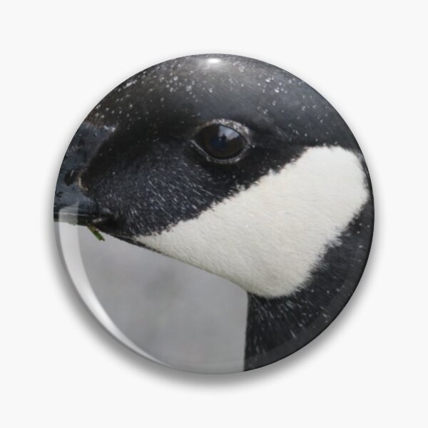 Item preview, Canada Goose Looking At You designed and sold by Penwortham.