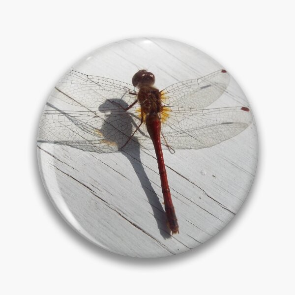 Item preview, Dragonfly designed and sold by Jen-Perry.