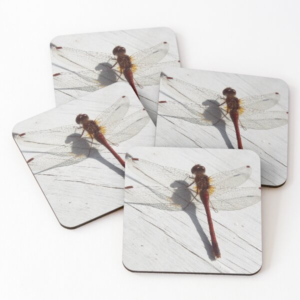 Item preview, Dragonfly designed and sold by Jen-Perry.