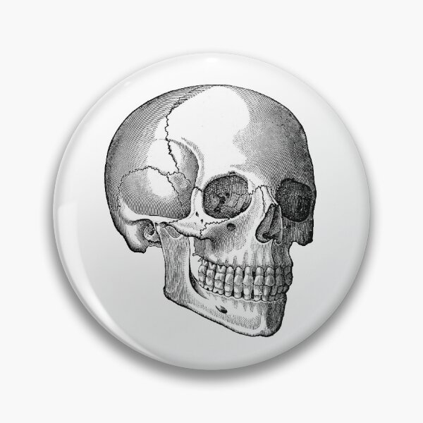 Item preview, Skull 2 designed and sold by upopot.
