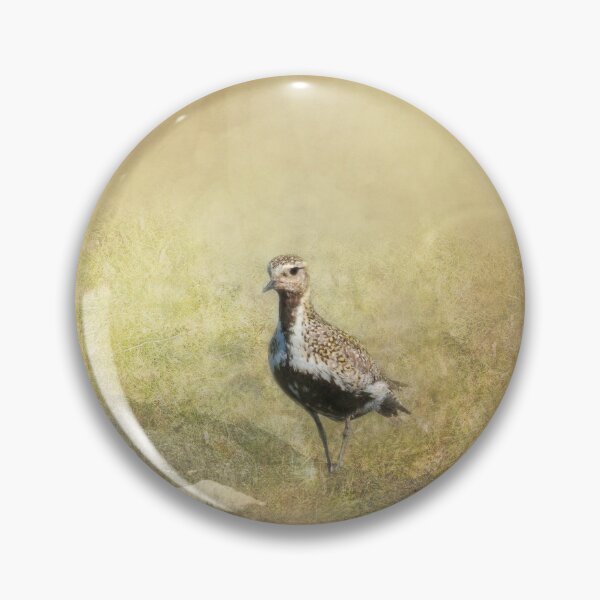 Item preview, Eurasian Golden Plover designed and sold by Gbenonys Art.