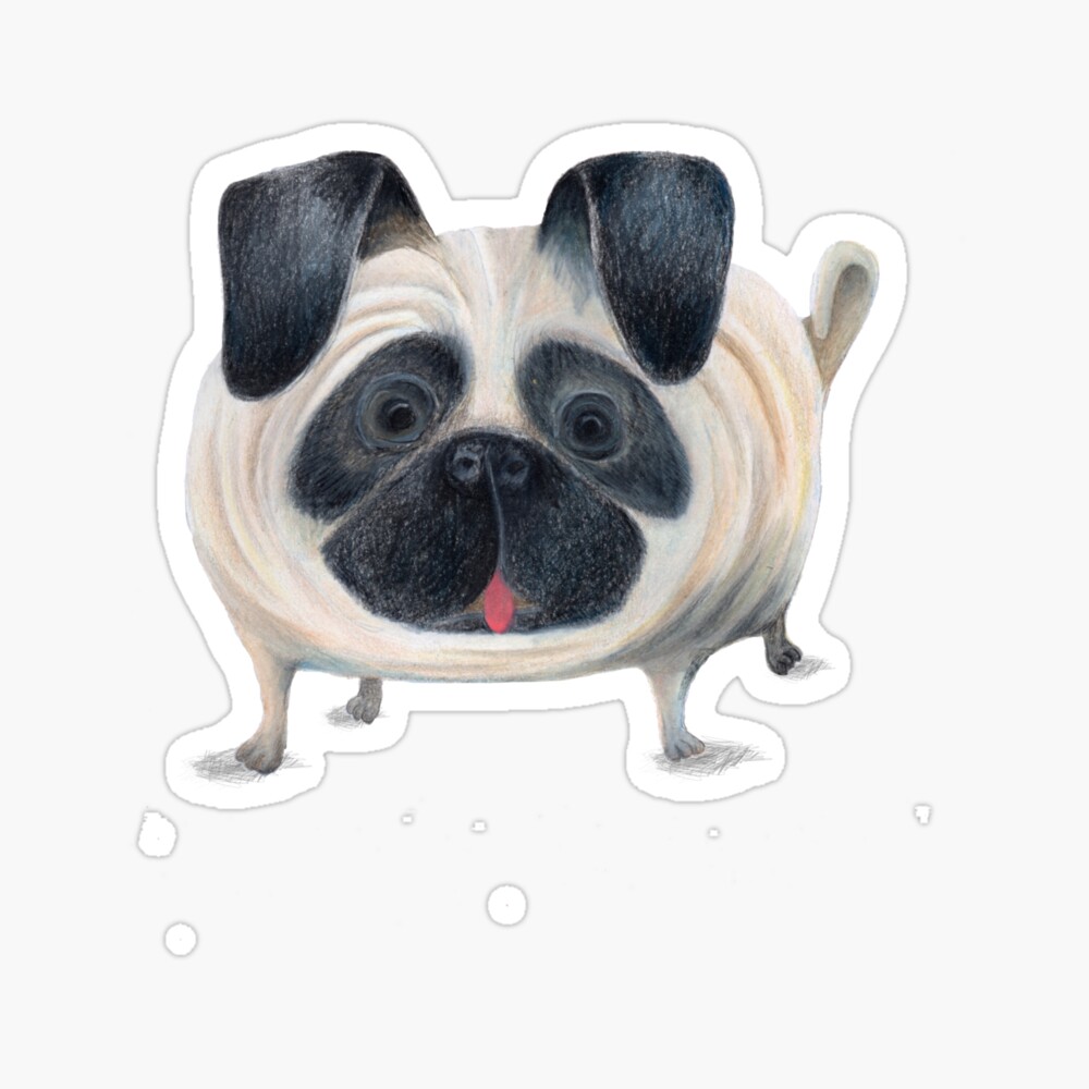 Fat Pug Fat Pug