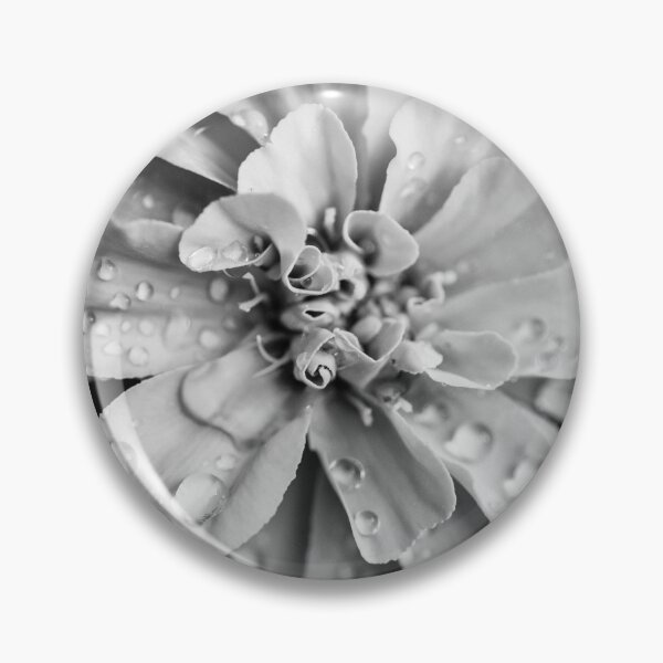 Item preview, Flowerscapes - BW Waterdrops designed and sold by lesslinear.