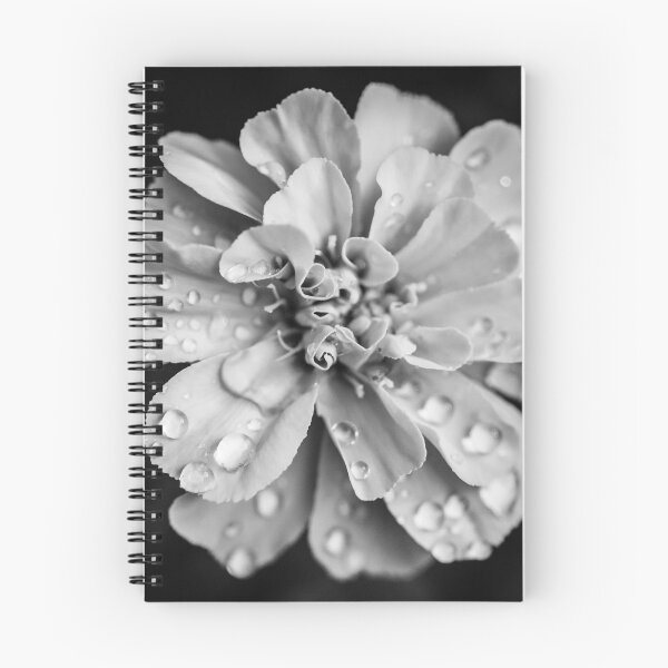 Item preview, Flowerscapes - BW Waterdrops designed and sold by lesslinear.