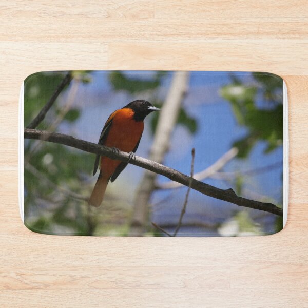 Item preview, Male Baltimore Oriole designed and sold by Alyce Taylor.