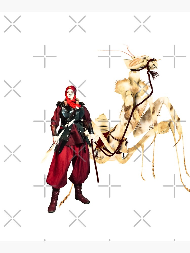 The dromedary by cglightNing