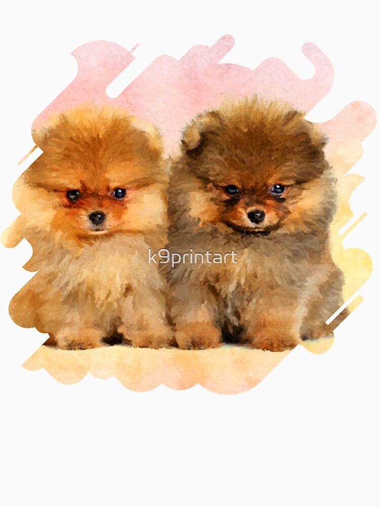 Pomeranian pullover hot sale