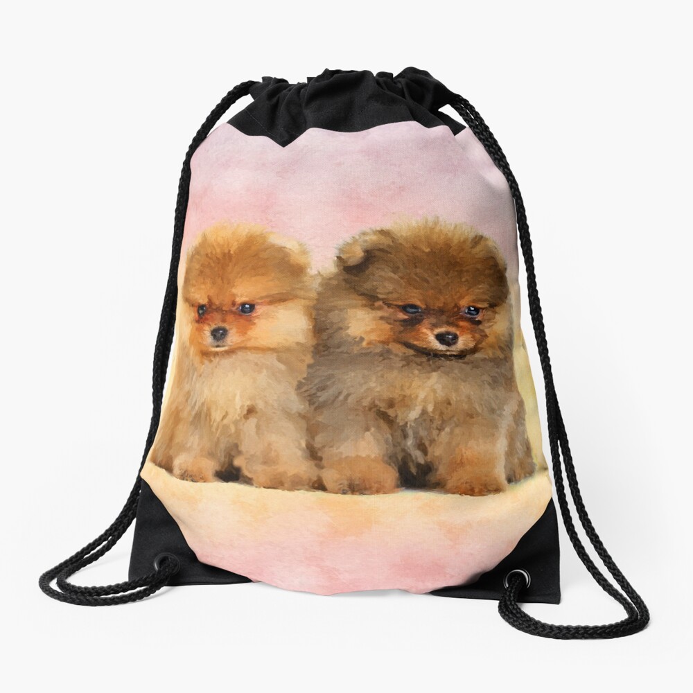 pomeranian in bag