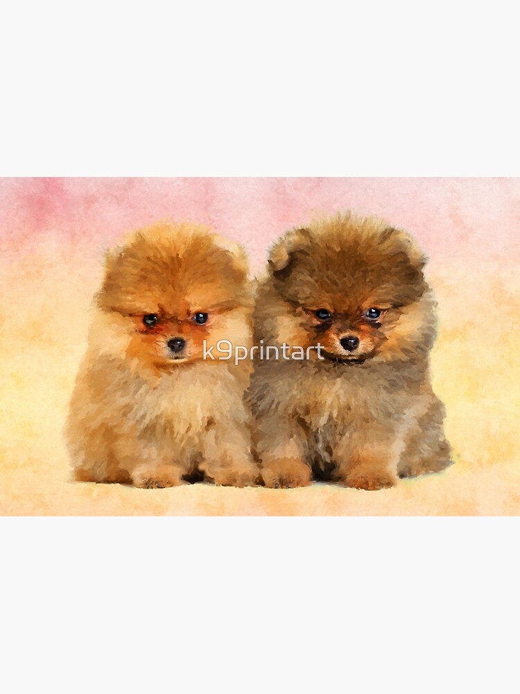 Bolsos para pomerania hot sale