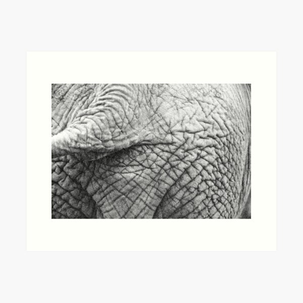behind Art Print