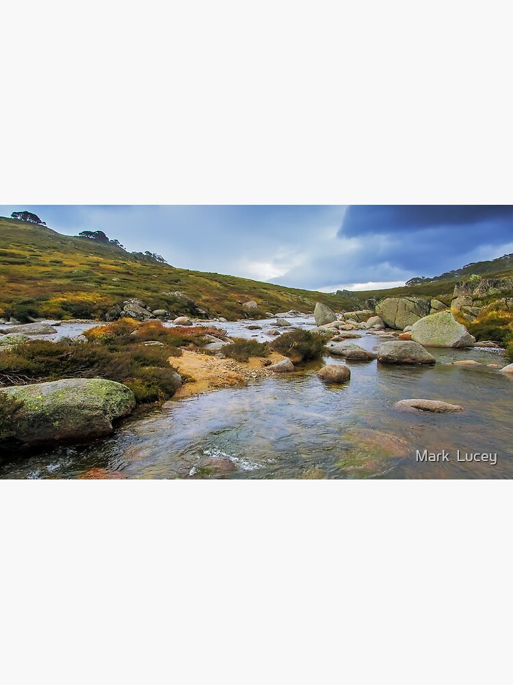 Head of the River by mgl001