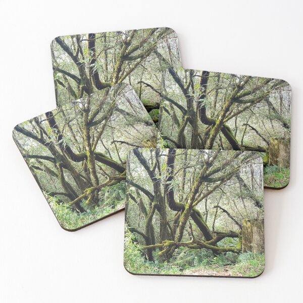 Item preview, Lost in the Woods designed and sold by matchstickphoto.