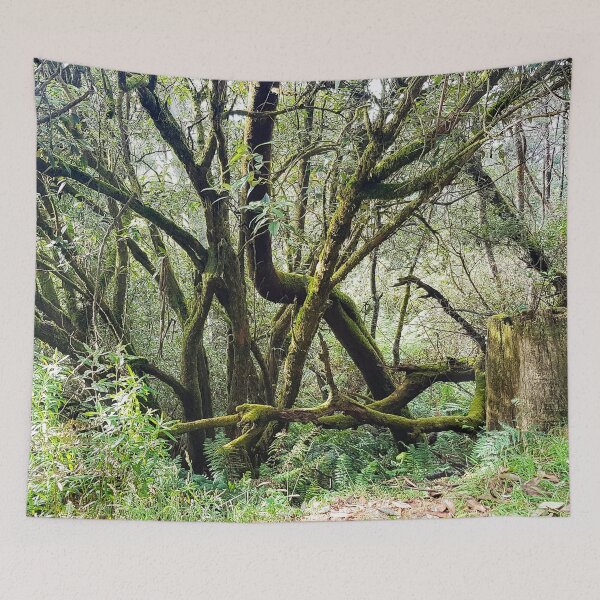 Item preview, Lost in the Woods designed and sold by matchstickphoto.