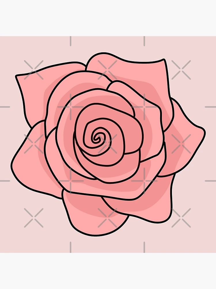 Flat Rose Drawings